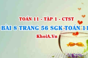 Bài 8 trang 56 SGK Toán 11 Tập 1 Chân trời sáng tạo
